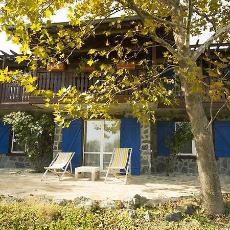 Вілла Art Provence House Лозенець Екстер'єр фото
