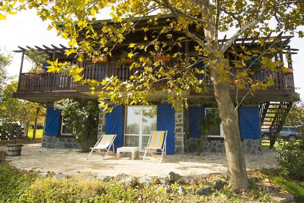 Вілла Art Provence House Лозенець Екстер'єр фото